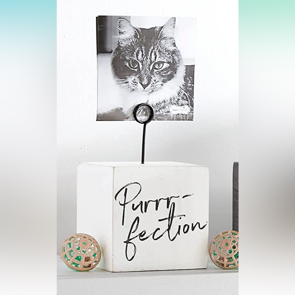 Purrr-fection Mud Pie Pet Block Frame